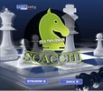 Scacchi