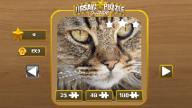 jigsaw puzzle lassic