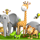 animali e natura