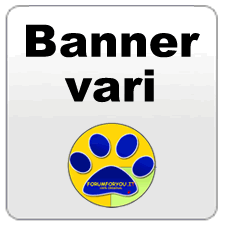 Banner di Varie dimensioni
