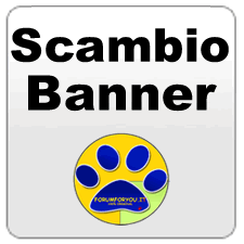 Scambio Banner