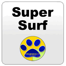 Super Surf