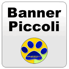 Scambio Banner