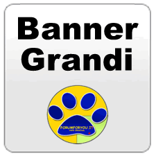 Scambio Banner