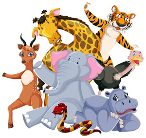 Video Whatsapp Animali