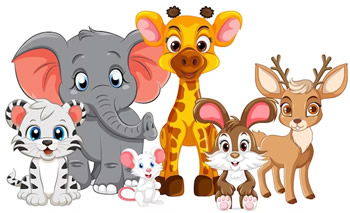 Video Whatsapp Animali