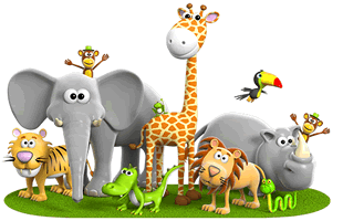 Video Whatsapp Animali