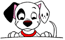 Età del cane