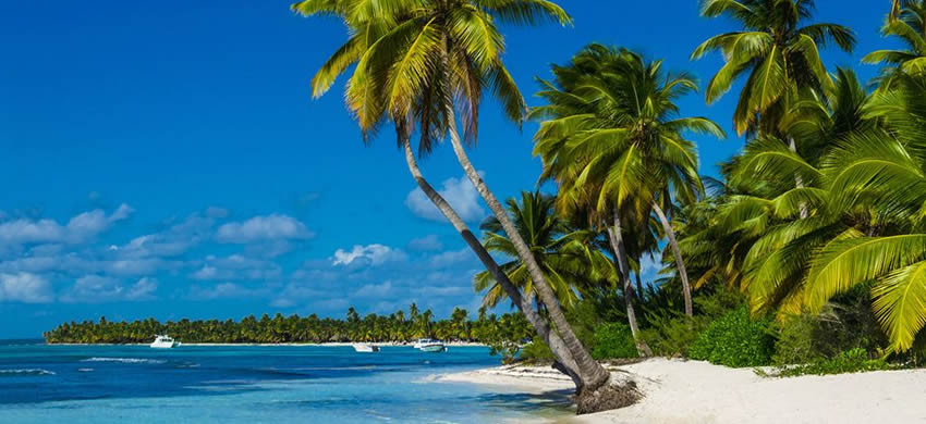 Pointe a Pitre