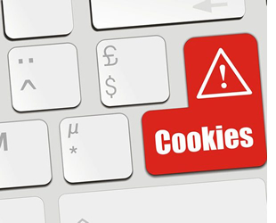 Informativa sui cookies