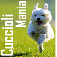 Come creare un photo Contest