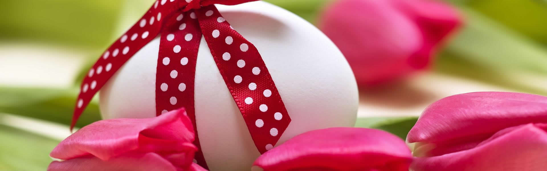 Icone Pasqua
