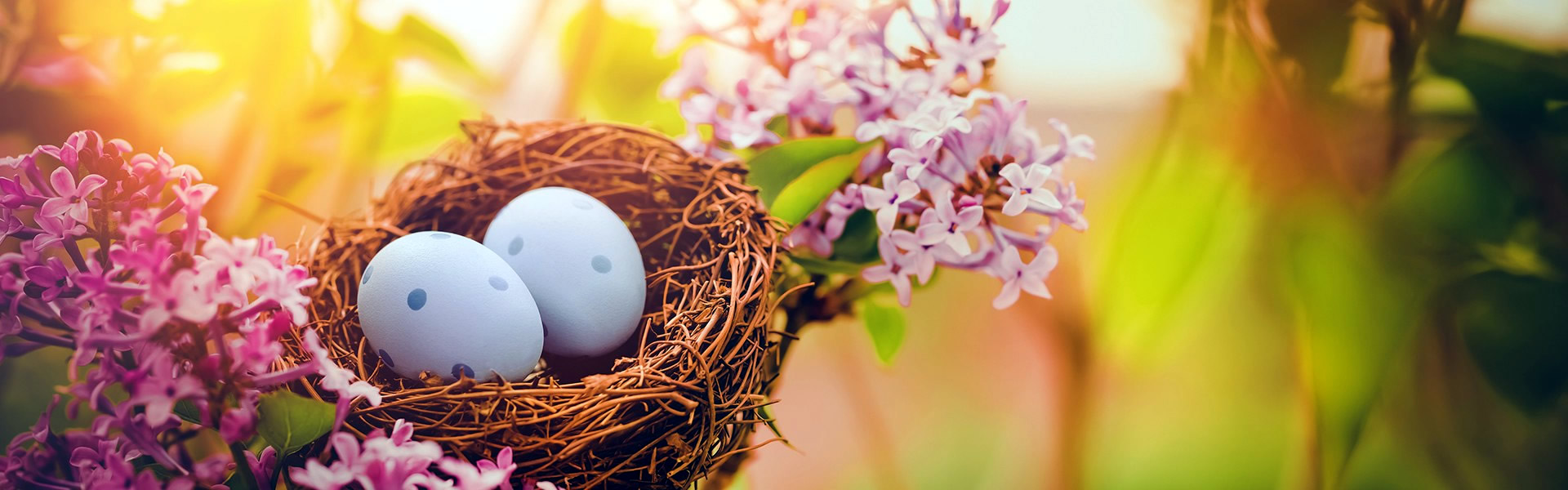 Foto di Immagini Buona Pasqua