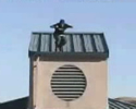 Farsi male 1