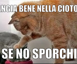Immagini divertenti Facebook