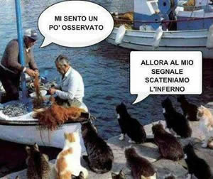 Immagini divertenti Facebook