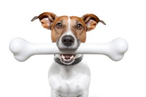 Prodotti per animali