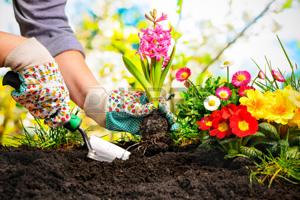 Giardino e giardinaggio