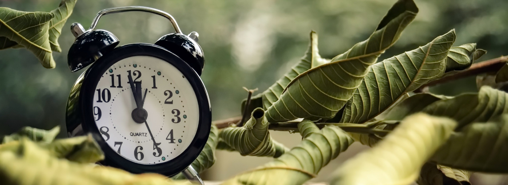 Orologi Flash da inserire nei siti web - blog - forum