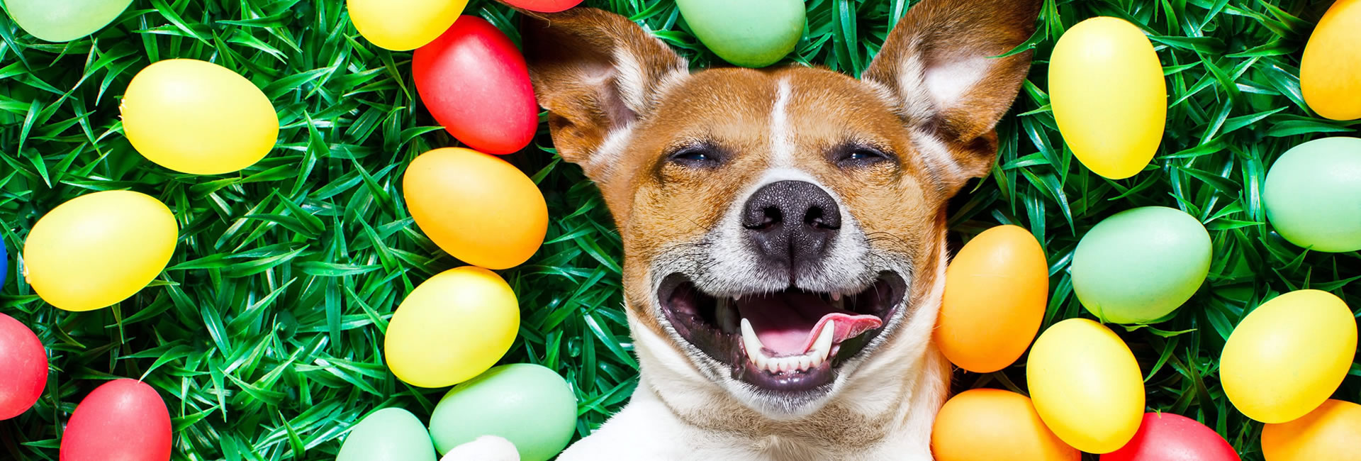 Biglietti di Pasqua da stampare in pdf
