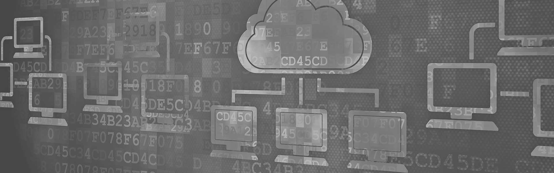 Come trovare il percorso assoluto (absolute path) di un server
