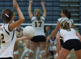 Volleyball Live