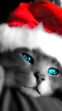 Wallpaper gratis di Natale per telefoni 50