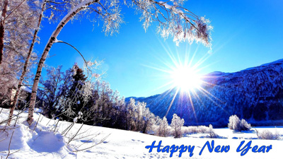 Gallery 2024 48