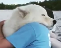Amore vero