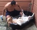 Il bagno del Cane