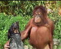 best friends