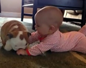 bimbo con cucciolo