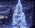 Buon Natale 17 