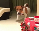 Buon Natale a Tutti