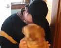 Cane emozionale vede padrone