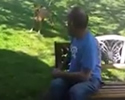 Cane non riconsce il padrone ma poi