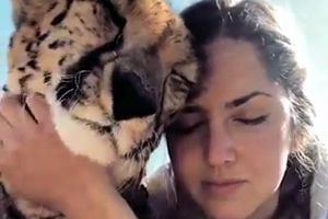 Coccole di Leopardo