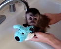 il bagno di Nala