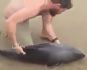 save the dolphin