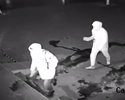 vandali in azione