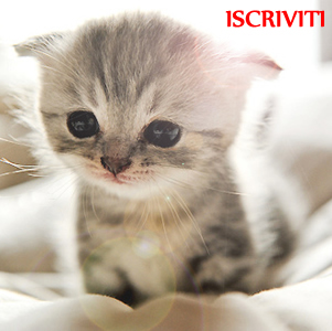 Iscriviti a l cucciolo pi bello