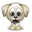 faccine animali