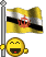bandiere