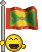 bandiere