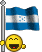 bandiere