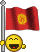 bandiere