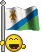 bandiere