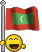 bandiere