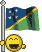 bandiere