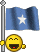 bandiere